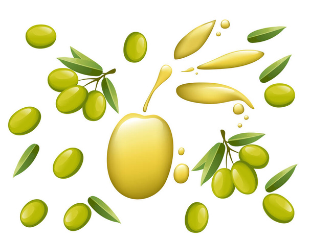 Ελαιόλαδο έννοια του υγιούς νόστιμο λάδι πράσινες ελιές σε κλαδί με φύλλα και ρέον λάδι με το σχήμα της ελιάς διανυσματική απεικόνιση σε λευκό φόντο - Διάνυσμα, εικόνα
