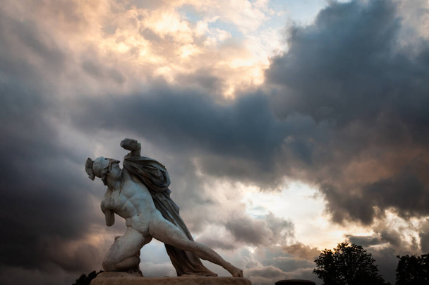 Against the clouds in the Tuileries garden in Paris, France - Photo, Image