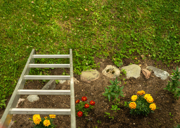 Escalera de aluminio al jardín con flores, vista superior - Foto, Imagen
