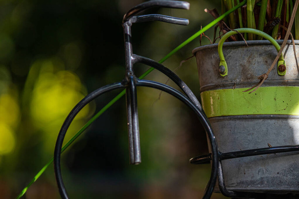 Металлическое ведро с зеленым растением, используемое в качестве внешнего украшения - Фото, изображение