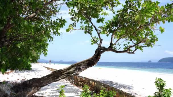 красивый белый пляж под чистым небом в Тропикане - Кадры, видео