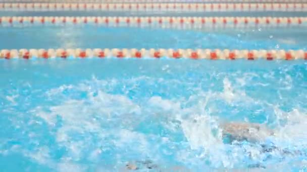 Mies uimari tekee perhonen aivohalvaus harjoittelun aikana uima-allas, hidastettuna. - Materiaali, video