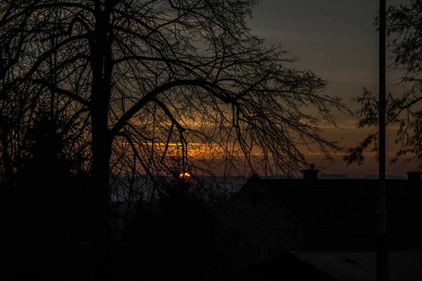 Scenery. Sunset on the background of trees. Background. - Photo, Image