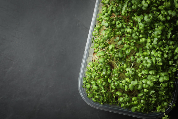 Sprouted arugula seeds in plastic container on grey table, top view. Space for text - Foto, immagini