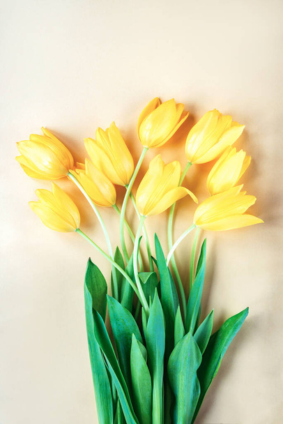 Boeket gele tulpen op een beige achtergrond. Feestelijke achtergrond - Foto, afbeelding