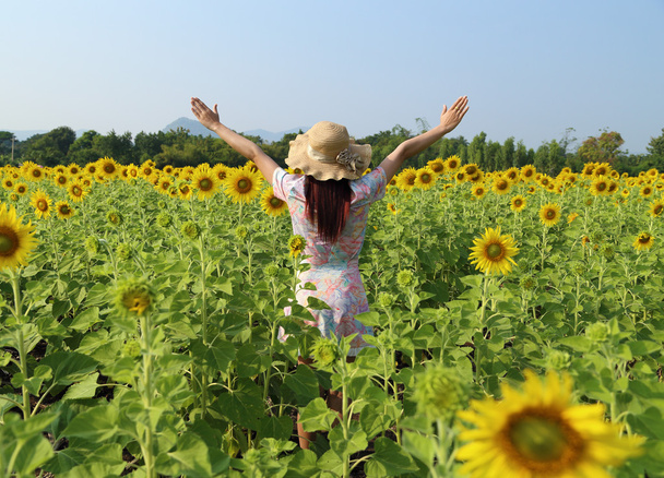 women in field of sunflowers - Photo, Image