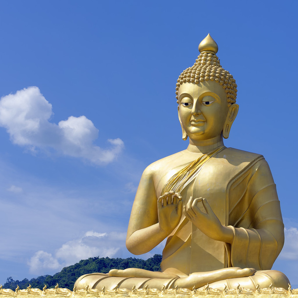 Statue di Buddha
 - Foto, immagini