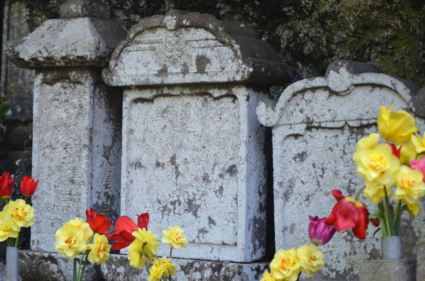 Three grey stones of differing height stand together as part of a shrine. They are marked with age and covered with moss. Yellow daffodils and red poppies have been placed before them. - Photo, Image