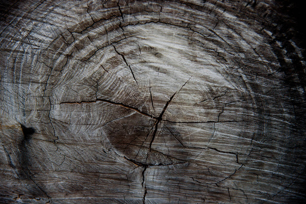 Antigua acera de textura de tocón de madera - Foto, imagen