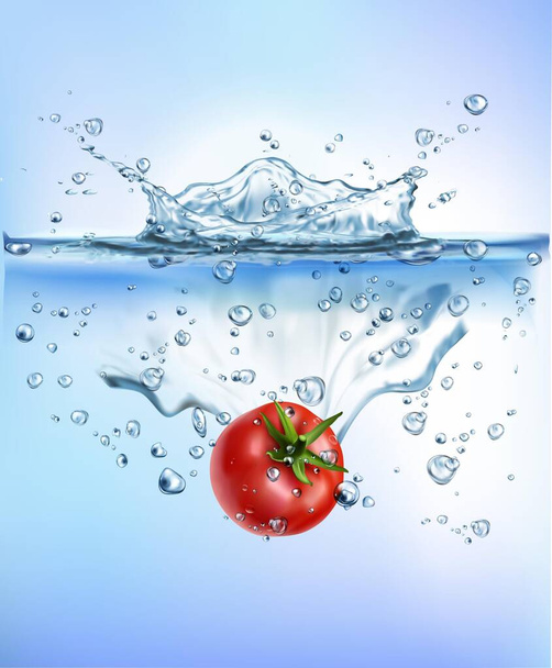 Verduras frescas salpicando en salpicaduras de agua clara azul. Alimentación saludable concepto de frescura dieta aislado fondo blanco. Ilustración vectorial realista. - Vector, imagen