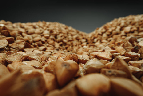 Macro photo of handful dry buckwheat grain - Photo, Image