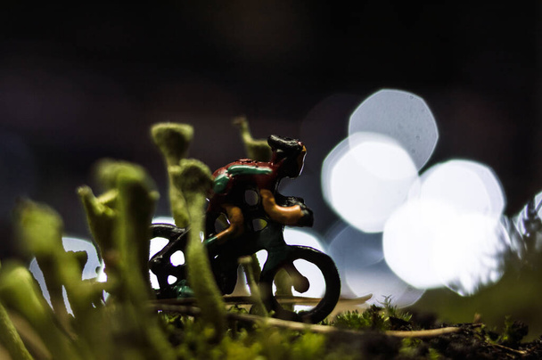 wyścig kolarski w lesie natura makro fotografia figury ludzkie koncepcja szczegółowy wyścig wokół - Zdjęcie, obraz