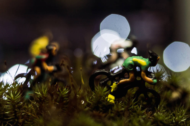 cycling race in the forest nature macro photography human figures concept detail race around - Photo, Image