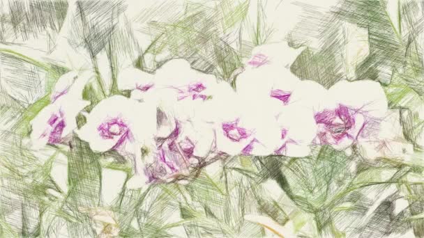 art drawing color of orchid flower - Footage, Video