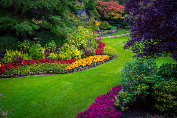 Colorido macizo de flores en un parque - Foto, Imagen