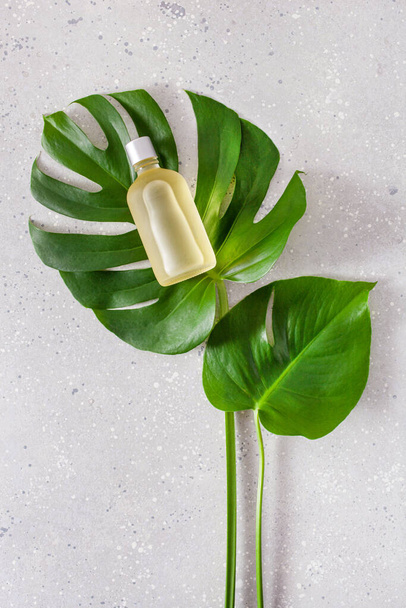 eco friendly skincare cosmetic concept. monstera leaf essential oil - Photo, Image