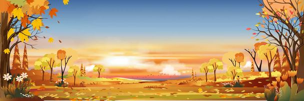 Осенний лесной пейзаж с закатом в оранжевом, и розовое небо вечером, драматическая сумеречная панорама осенью сезона в сельской местности, травяное поле на холмах с восходом солнца, векторное горизонтальное знамя для осени - Вектор,изображение