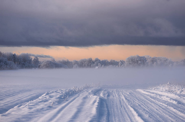 winter landschap van besneeuwde weg in de buurt van het bos bedekt met sneeuw en vorst op een bewolkte dag - Foto, afbeelding