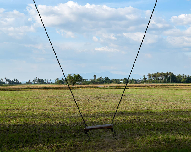 Provaz houpačka uprostřed rýžového pole v Kampung Agong, Penang, Malajsie - Fotografie, Obrázek