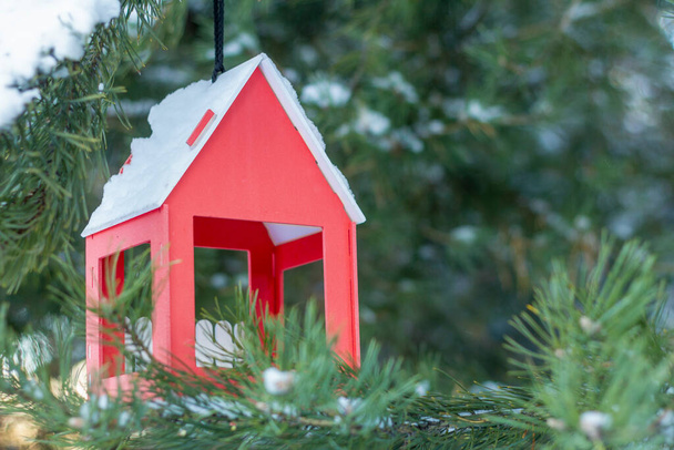 A feeder for feeding birds in winter hangs on the Christmas tree. - Photo, Image