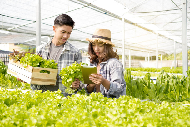 Hydroponics, dos agricultores asiáticos poseen una granja de verduras, usan una tableta para monitorear el control de temperatura y registrar la calidad del crecimiento de las hojas en la granja. Concepto empresarial de las pequeñas empresas. - Foto, imagen