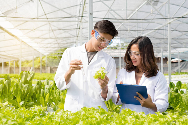 Hydrocultuur, twee Aziatische wetenschappers, testten de normen en verzamelden chemische gegevens van de biologische groenten geteeld met behulp van hydrocultuur in de kwekerij. - Foto, afbeelding