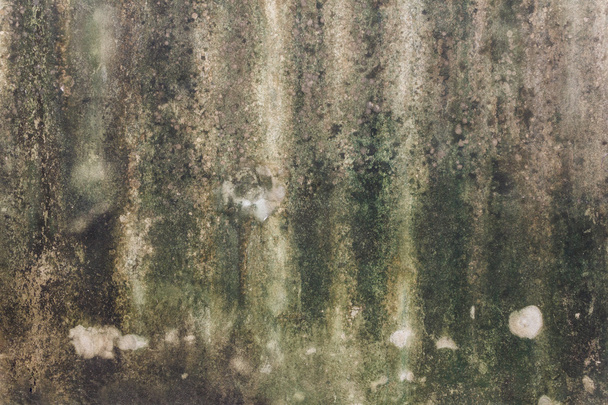 oude muur met mos achtergrond - Foto, afbeelding