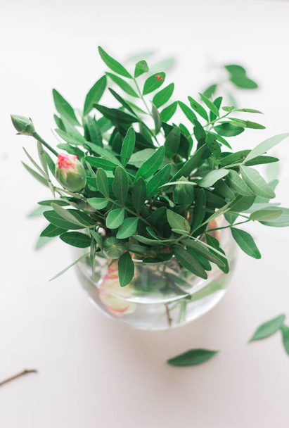 green twigs and flowers in a glass vase on a light background - Photo, image