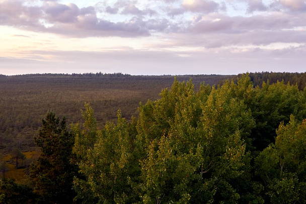 Blick auf das Teichu-Moor vom Aussichtsturm am Abend im Juni - Foto, Bild