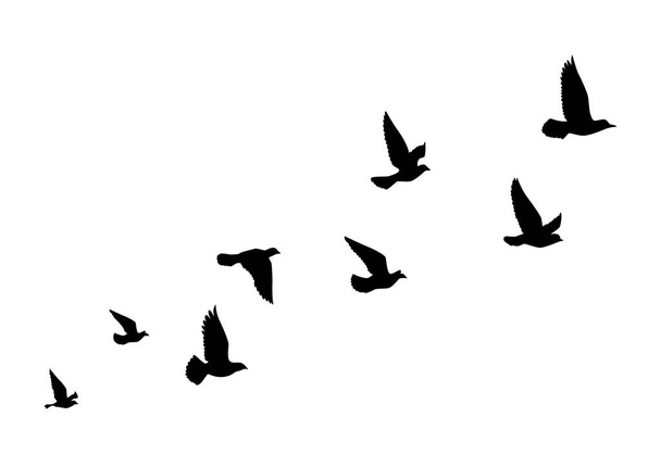 Flying birds silhouettes on white background. Vector illustration. isolated bird flying. tattoo design. - Vector, Image