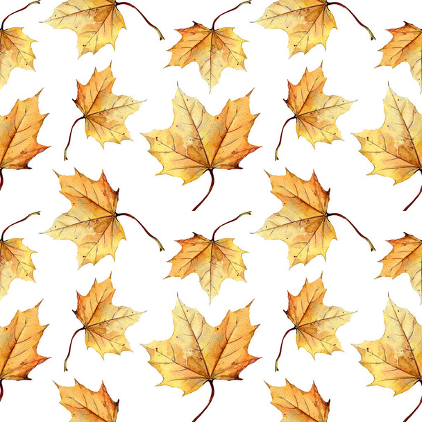  Watercolor seamless pattern of autumn leaves - Photo, Image