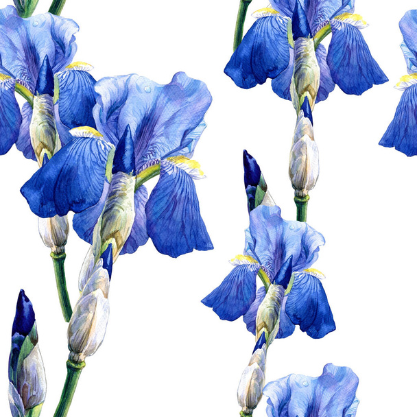 Aquarelle motif sans couture de fleurs d'iris. Printemps Illustration botanique, Pâques, motif de mariage. - Photo, image