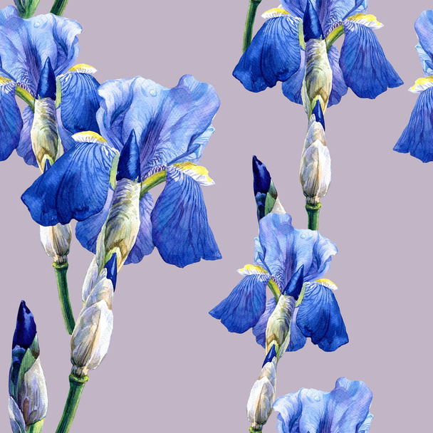 Watercolor seamless pattern of iris flowers. Spring Botanical illustration, Easter, wedding pattern. - Foto, immagini