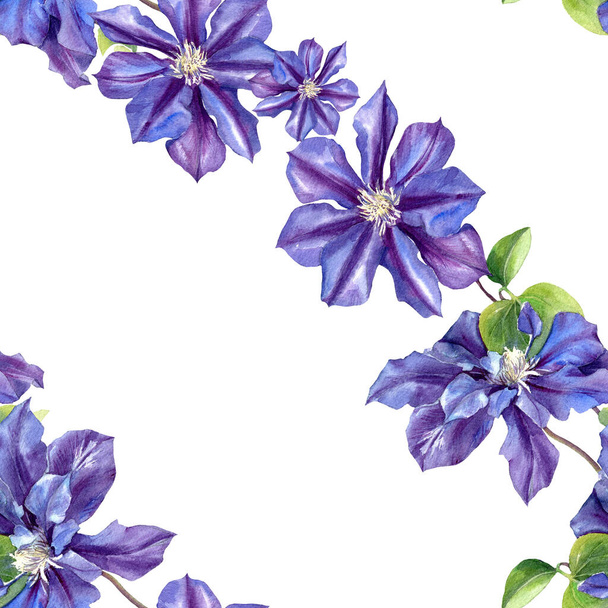 Watercolor seamless pattern of clematis flowers. Original Botanical background. - Foto, Bild