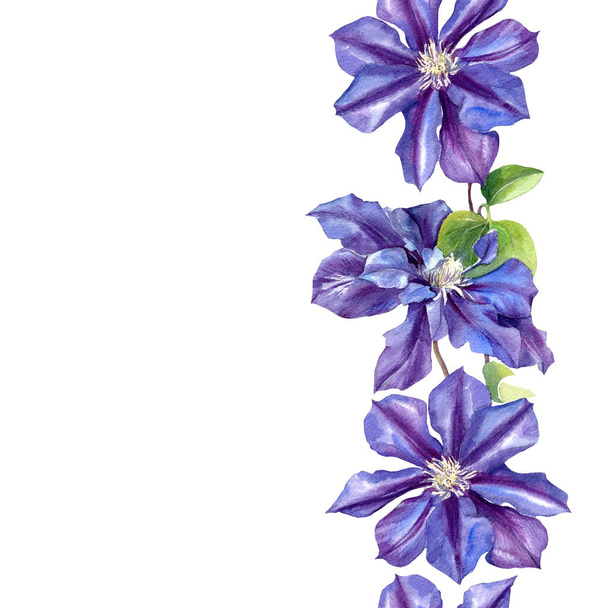 クレマチスの花の水色のシームレスなパターン。原植物の背景. - 写真・画像