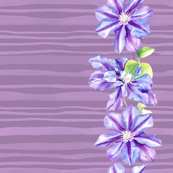 Watercolor seamless pattern of clematis flowers. Original Botanical background. - Photo, Image