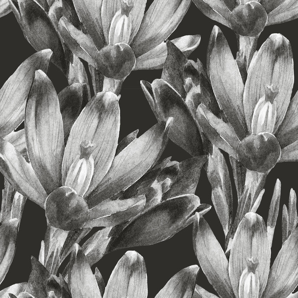Watercolor seamless pattern of Crocus flowers. - Photo, Image