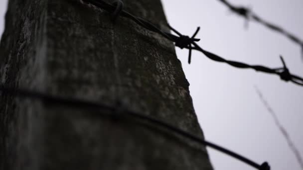Barbed wire fence against dark sky close up tilting shot - Footage, Video