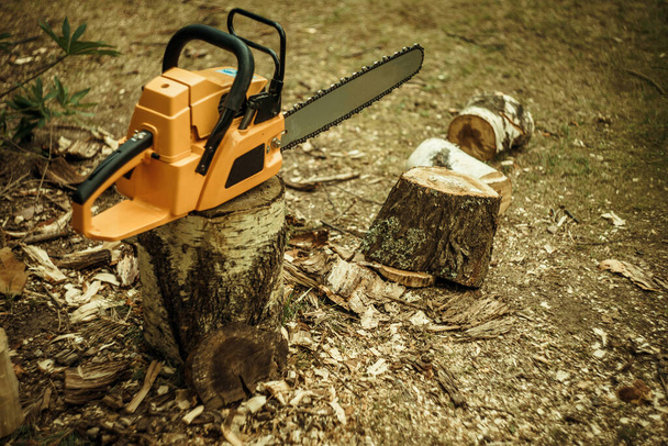 Motosserra laranja em árvores serradas, troncos de madeira - Foto, Imagem