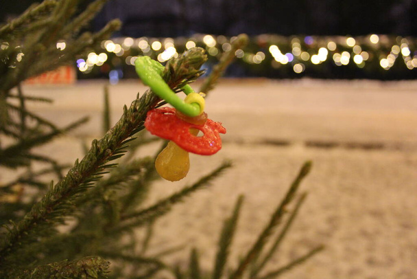 baby pacifier lost a child, it hangs on a tree branch in winter / close-up photo of a baby pacifier. a child lost on a winter walk. baby pacifier hanging on a branch of a fir tree. raindrops froze on it. - Photo, Image