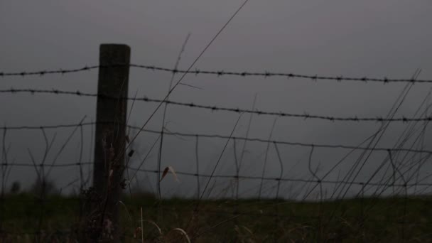 Barbed wire fence and wooden post against dark skies wide landscape  - Footage, Video