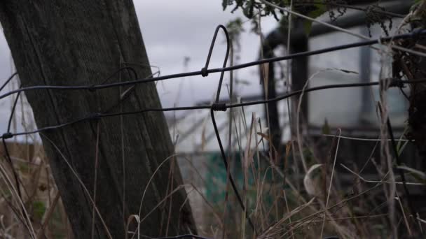 暗い空に対する農民のフィールドでの有刺鉄線フェンス - 映像、動画
