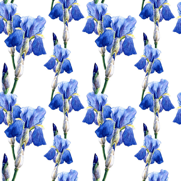 Aquarelle motif sans couture de fleurs d'iris. Printemps Illustration botanique, Pâques, motif de mariage. - Photo, image