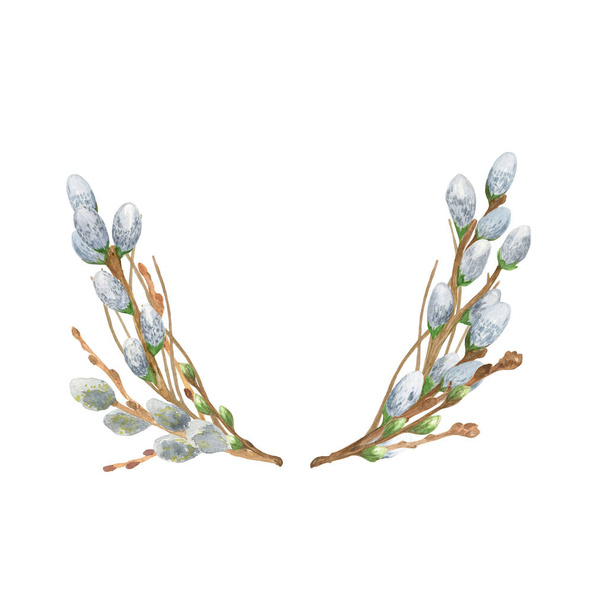 Fluffy pussy willow branches oval wreath floral spring composition, young twigs of trees, watercolor illustration for designing Easter holidays celebration decor, invitations, banners - Zdjęcie, obraz