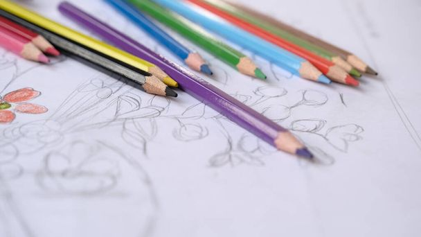 Selective focused colorful pencils.Colored crayons on the drawing pad.Black,yellow,purple,blue,green,orange and brown pencil on flower drafting.preparation for painting.Hobby concept. - Photo, Image