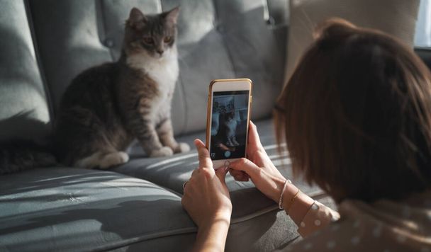 Bir kadın kedisinin akıllı bir cep telefonuyla kanepede otururken fotoğrafını çekiyor. - Fotoğraf, Görsel