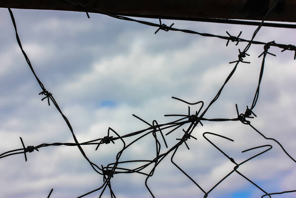 Filo spinato di metallo contro un cielo blu nuvoloso in primavera o in inverno e un buco nella recinzione. Proteggere un parcheggio, un'azienda o una prigione.  - Foto, immagini
