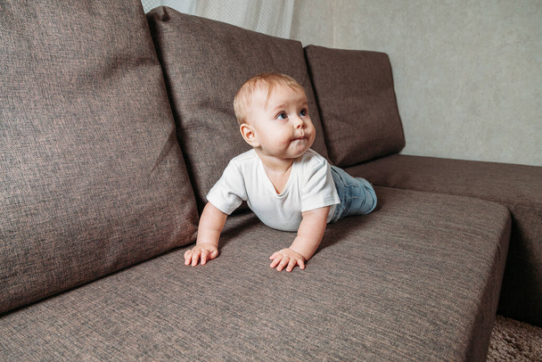 hildhood babyhood and people concept happy smiling little baby boy or girl crawling on sofa  - Photo, image