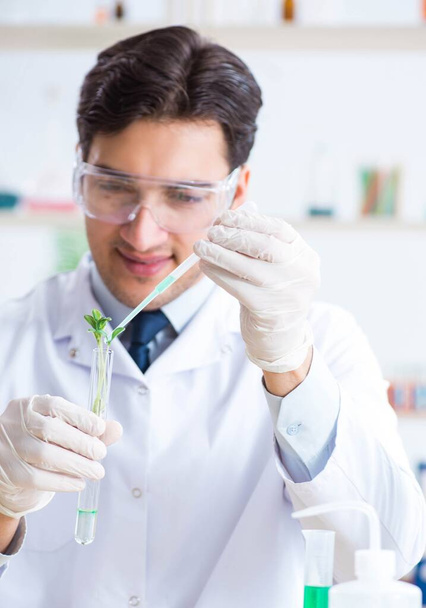 Mannelijke biochemicus werkzaam in het lab op planten - Foto, afbeelding