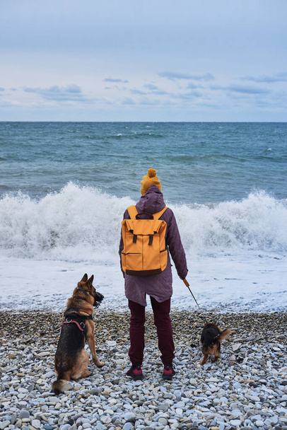 Frau mit gelbem Rucksack steht am Strand und blickt auf blaue Wellen, neben ihr sitzt ein Schäferhund und ein kleiner brauner Mischling an der Leine. Spaziergang am Meer mit zwei Hunden Menschen Freunde. - Foto, Bild